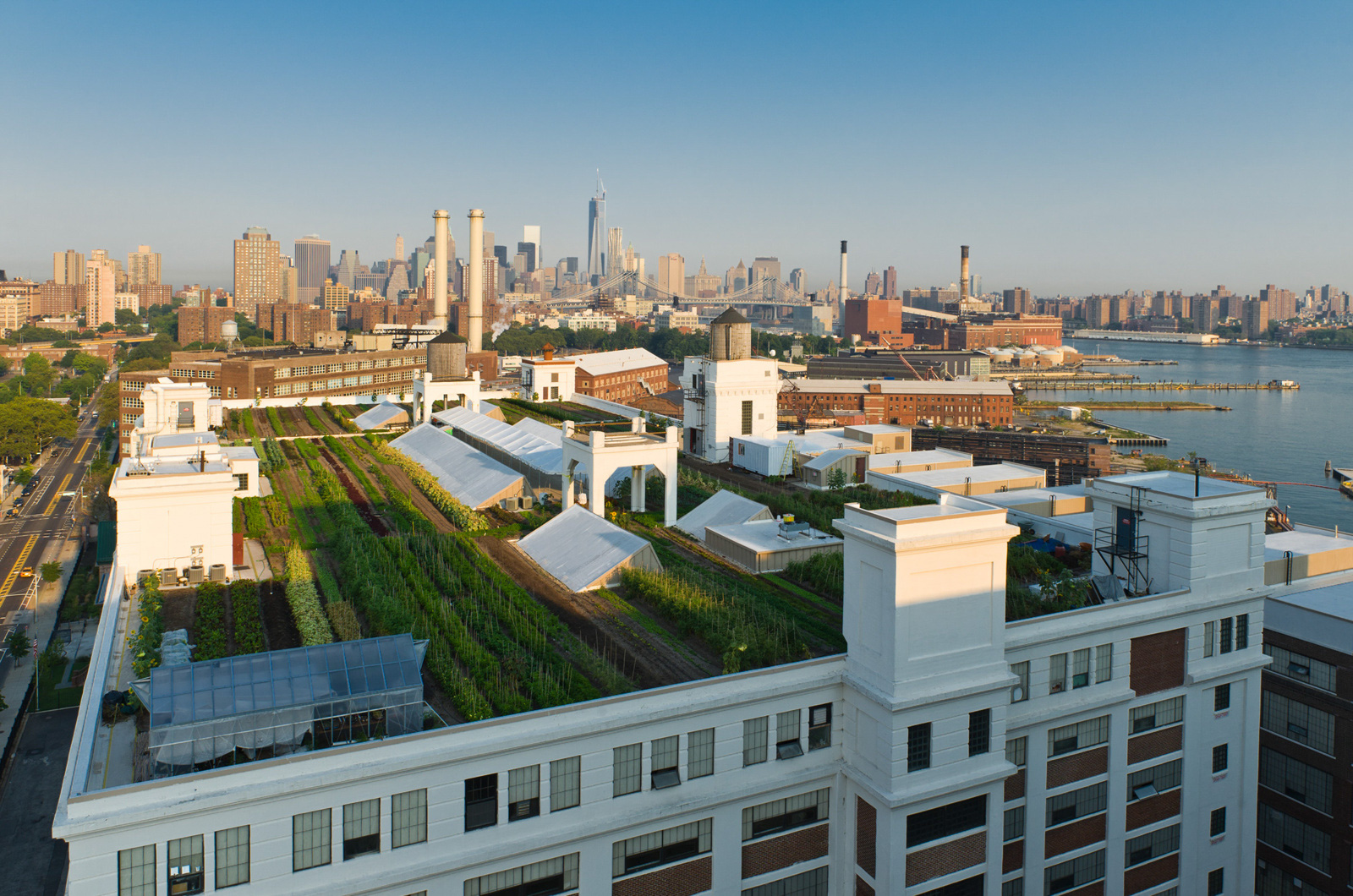 Brooklyn Grange Rooftop Farm, Brooklyn Navy Yard.