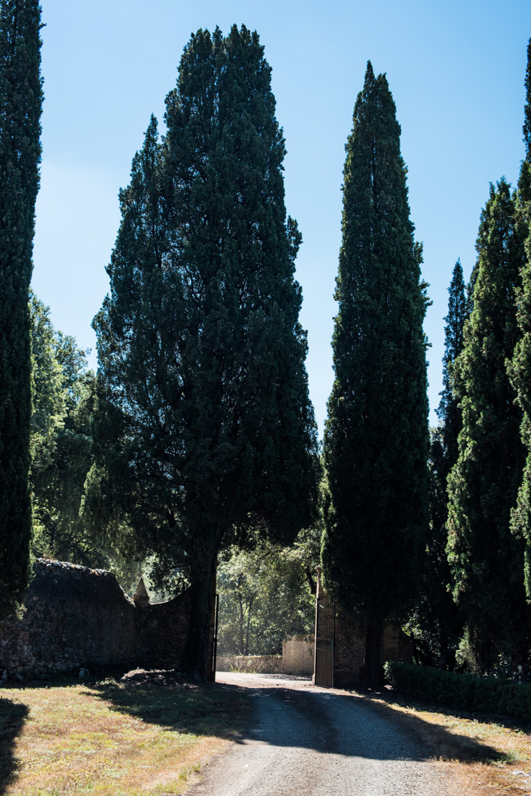 Valery-Rizzo-Italy-1